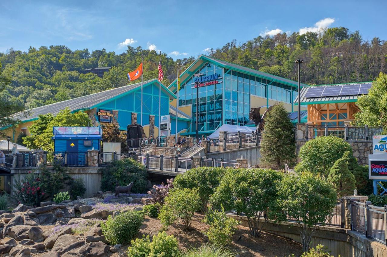 Mountain Haven: Dual Hot Tubs & Entertainment Hub Apartment Pigeon Forge Exterior photo